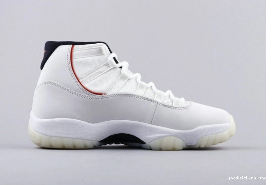 378038-016 Platinum Jordan (GS)  Retro Tint 378038-016 11 0515